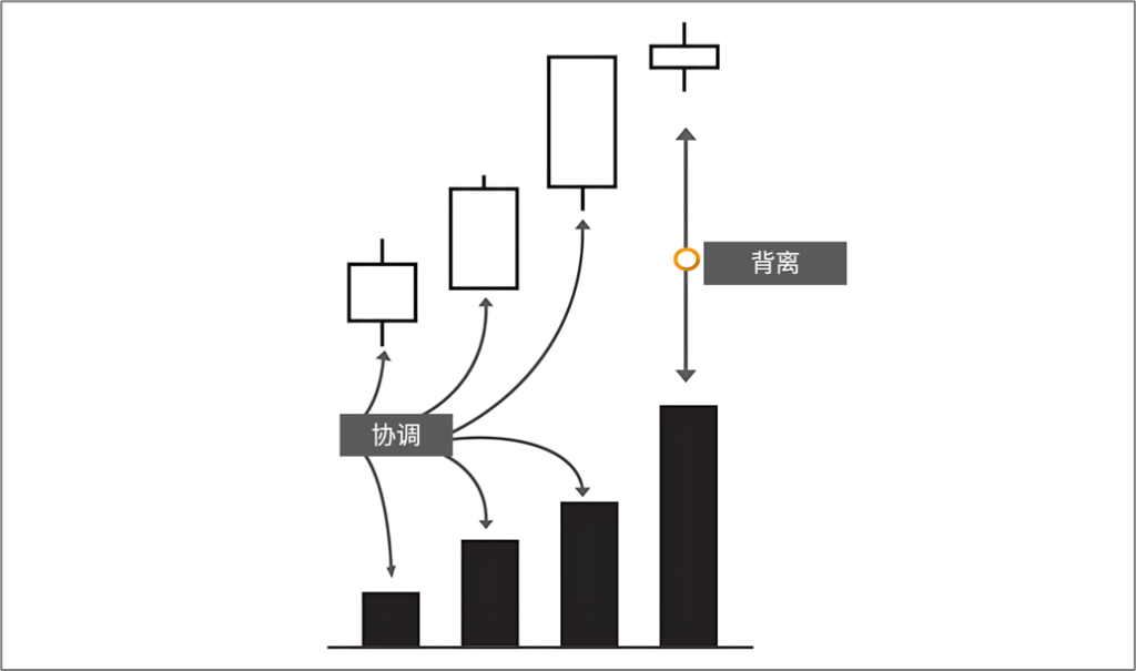 d2b5ca33bd20251206173423