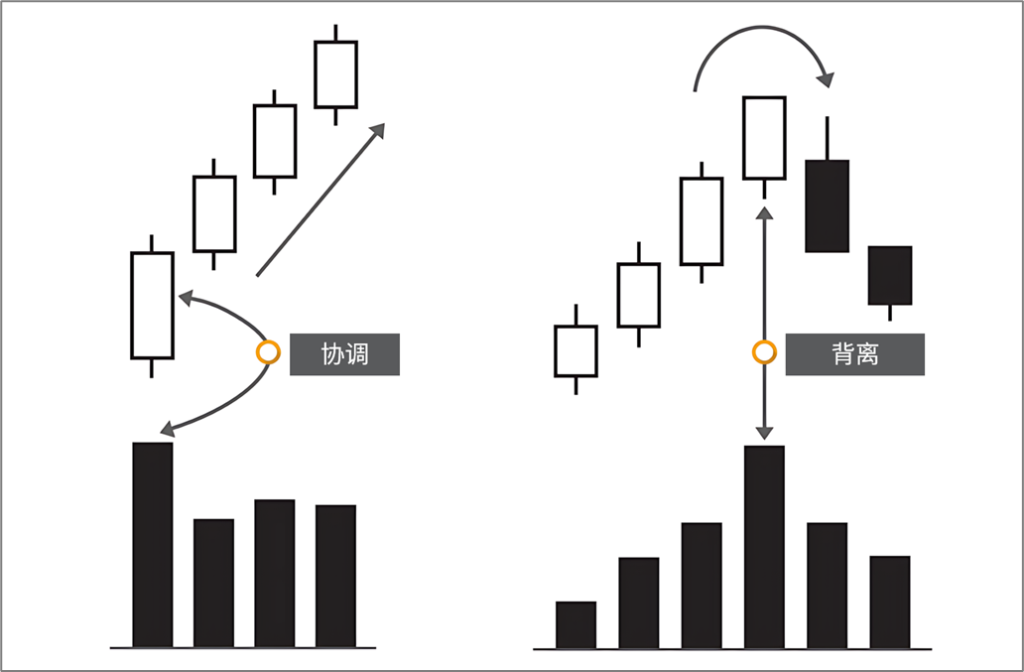 d2b5ca33bd20251206173456