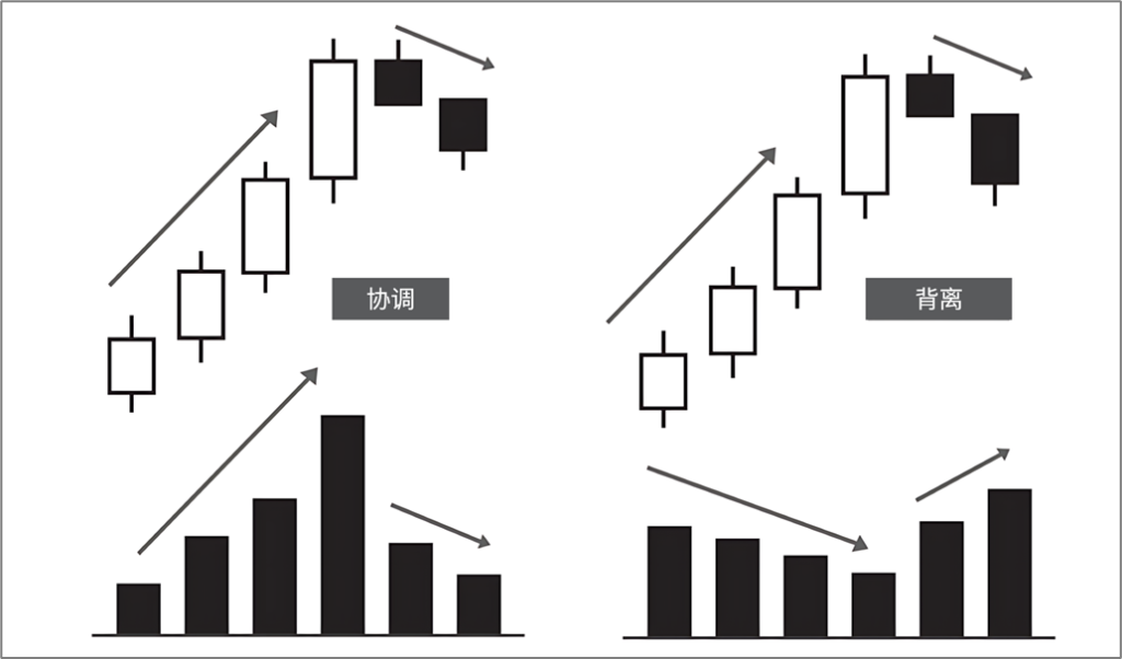 d2b5ca33bd20251206173525