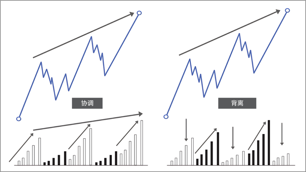 d2b5ca33bd20251206173553