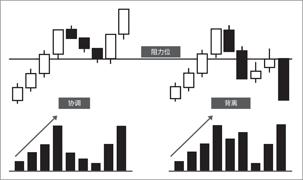 d2b5ca33bd20251206173620